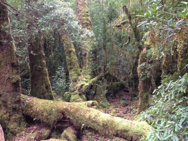 Sarah Island, Tasmania