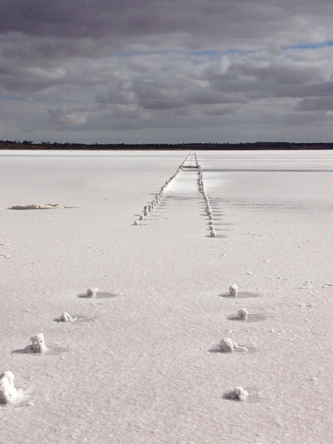 Lake Hart, (salt lake), South Australia