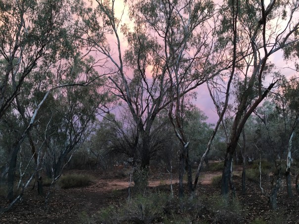 Paroo River sunset, Eulo, Western Queensland