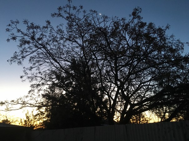 Peak Hill New South Wales