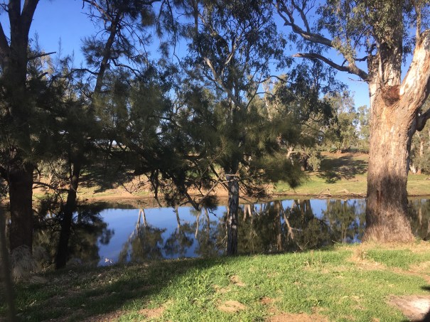 Ponto Falls New South Wales