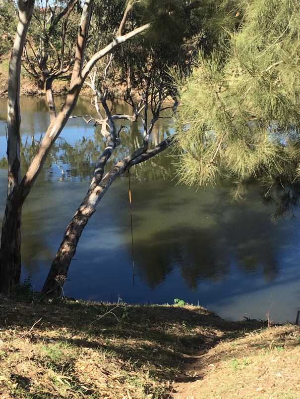 Ponto Falls New South Wales