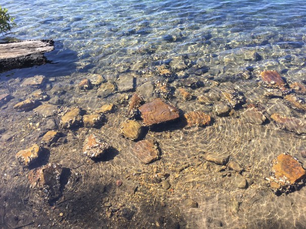 Nambucca Heads Boardwalk 