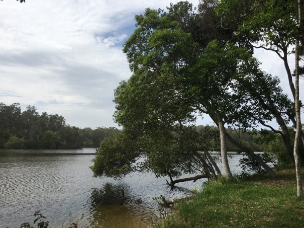 Gumma Reserve Campground NSW