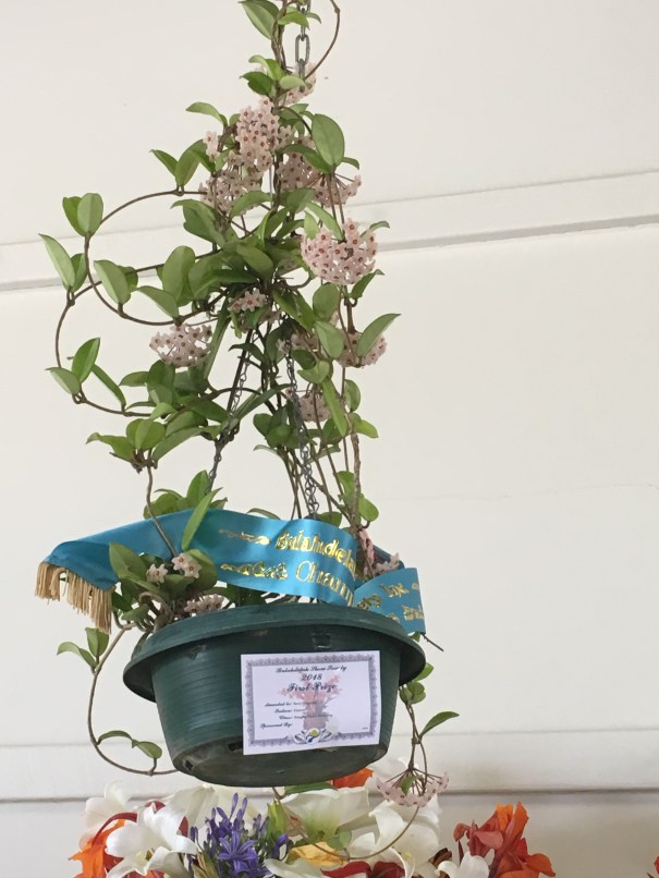 Bulahdelah Show 2018