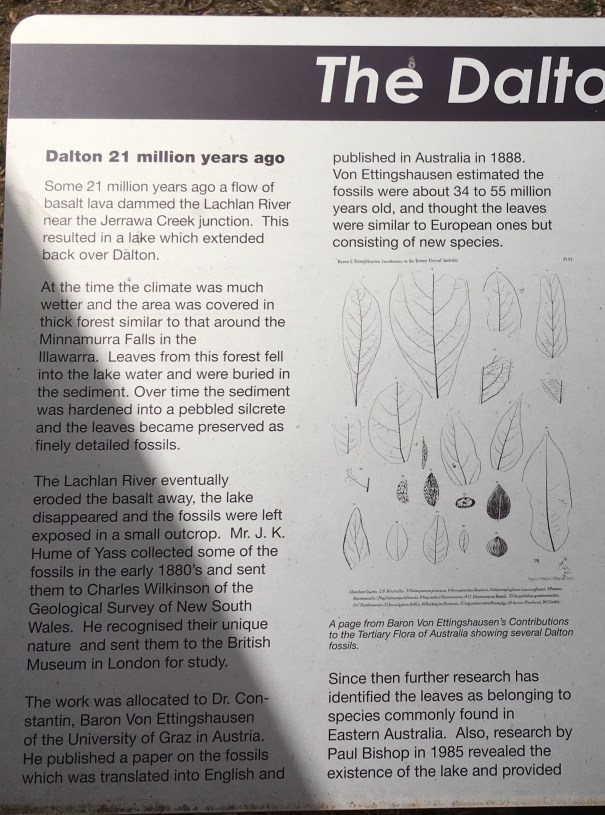 The Dalton Fossil, New South Wales