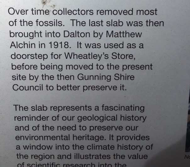 The Dalton Fossil, New South Wales