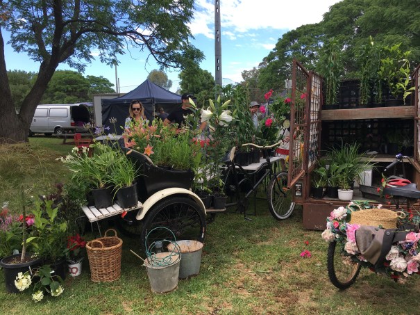 Garden stall at Avenel market, Victoria 