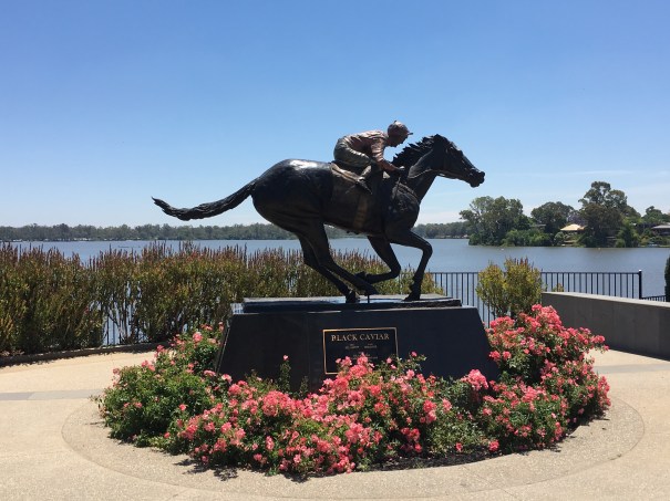Black Caviar, Nagambie, Victoria 