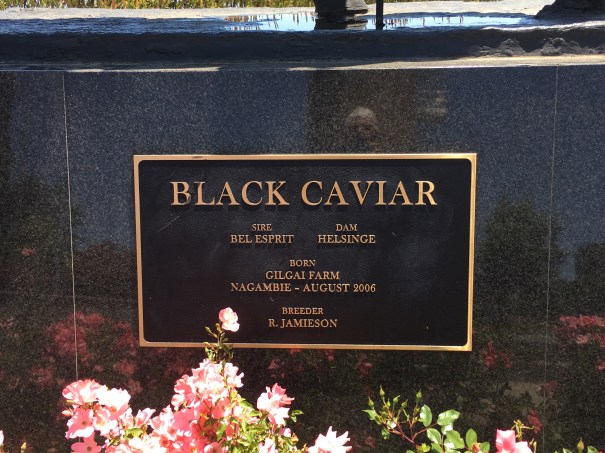 Black Caviar, Nagambie, Victoria 