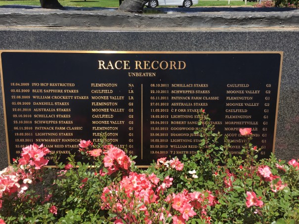 Black Caviar, Nagambie, Victoria 