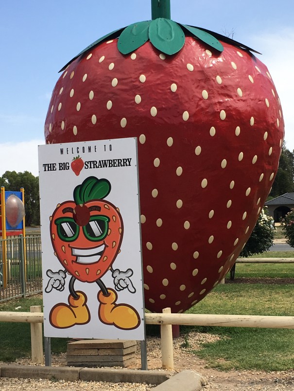 The Big Strawberry at Koonoomoo