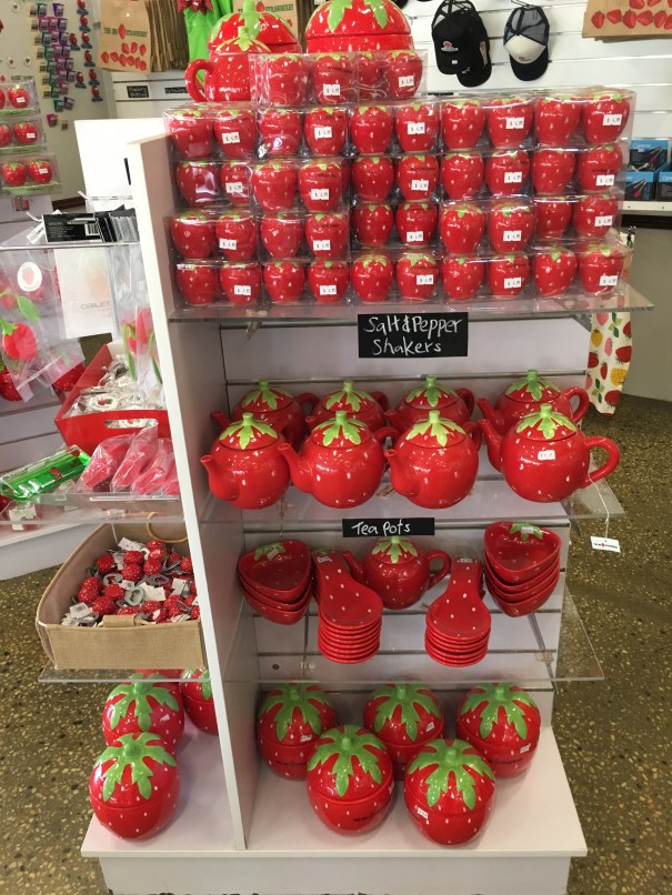 The Big Strawberry at Koonoomoo Victoria
