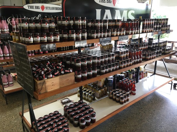 The Big Strawberry at Koonoomoo Victoria