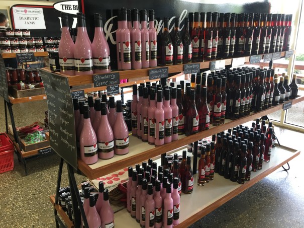 The Big Strawberry at Koonoomoo Victoria