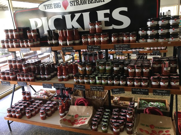 The Big Strawberry at Koonoomoo Victoria