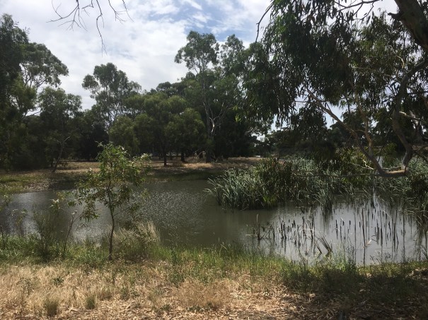 Billabong at Rupanyup Victoria