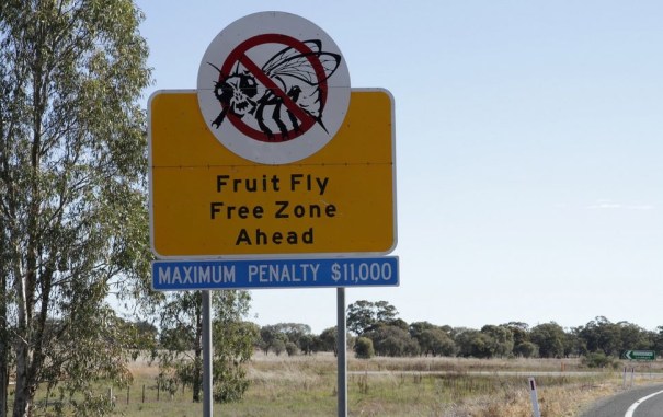Australian state quarantine laws 