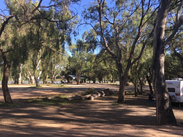 Martin’s Bend near Berri, South Australia 