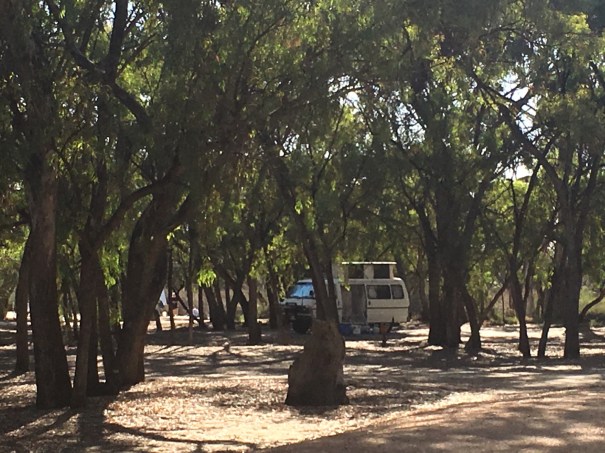 Martin’s Bend near Berri, South Australia 