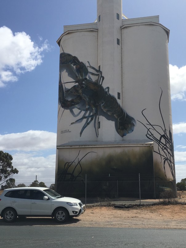 Painted Silos at Waikerie South Australia 