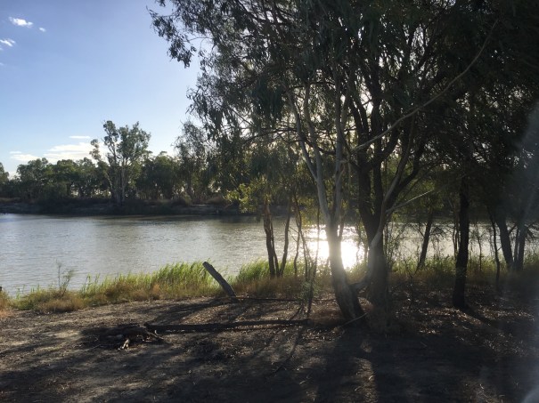 Murray River at Overland Corner