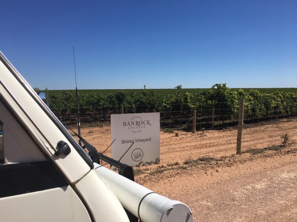 Banrock Station Winery, South Australia 
