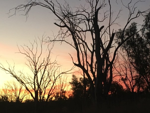 Maize Island Lagoon Conservation Park 