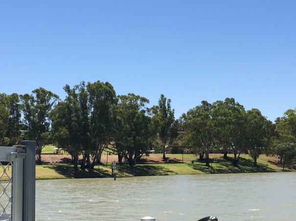 Crossing the Murray at Morgan