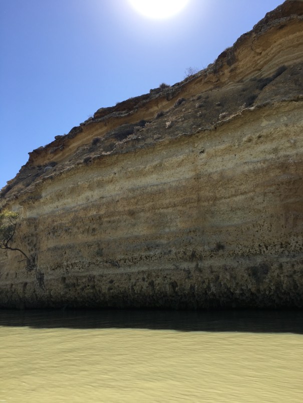 Murray River cliffs at Brenda Park, South Australia 