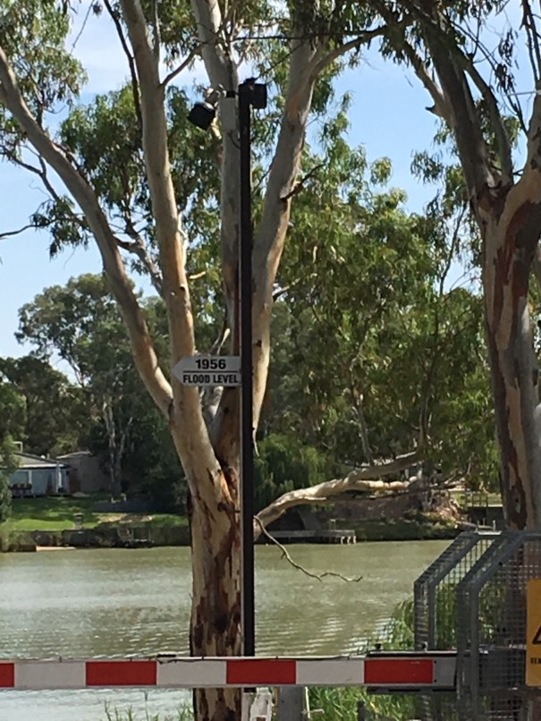 Walker Flat 1956 flood levels