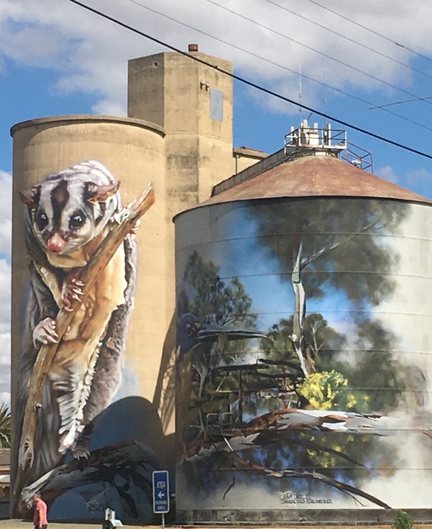 Silo Art in Rochester Victoria 