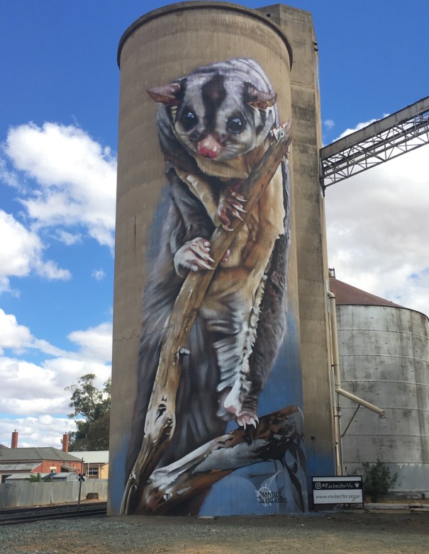 Silo Art in Rochester Victoria 