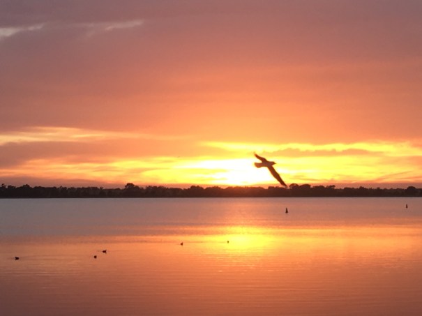 Sunrise at Greens Lake, Corop