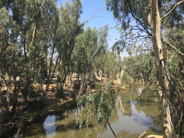 Campaspe River at Rochester Victoria