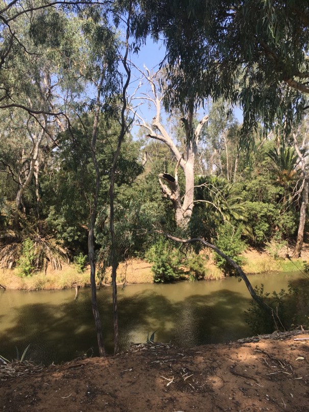 Campaspe River at Rochester Victoria