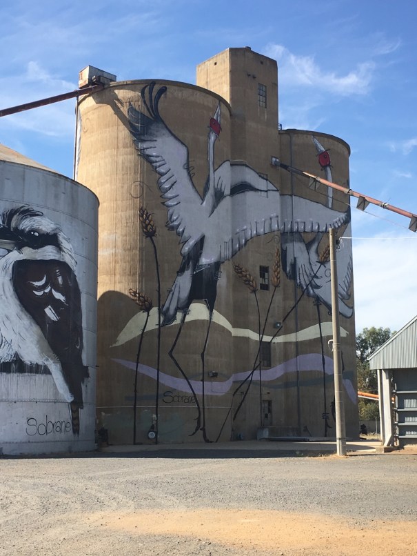 Tungamah painted silos