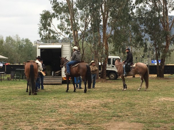 Horses and riders at #MFSR2019