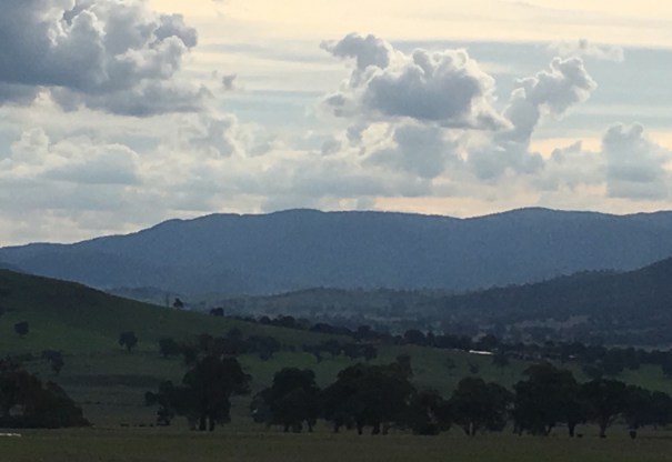 The Man From Snowy River re-enactment 
