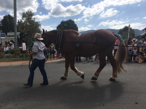 MFSR 2019 Street Parade
