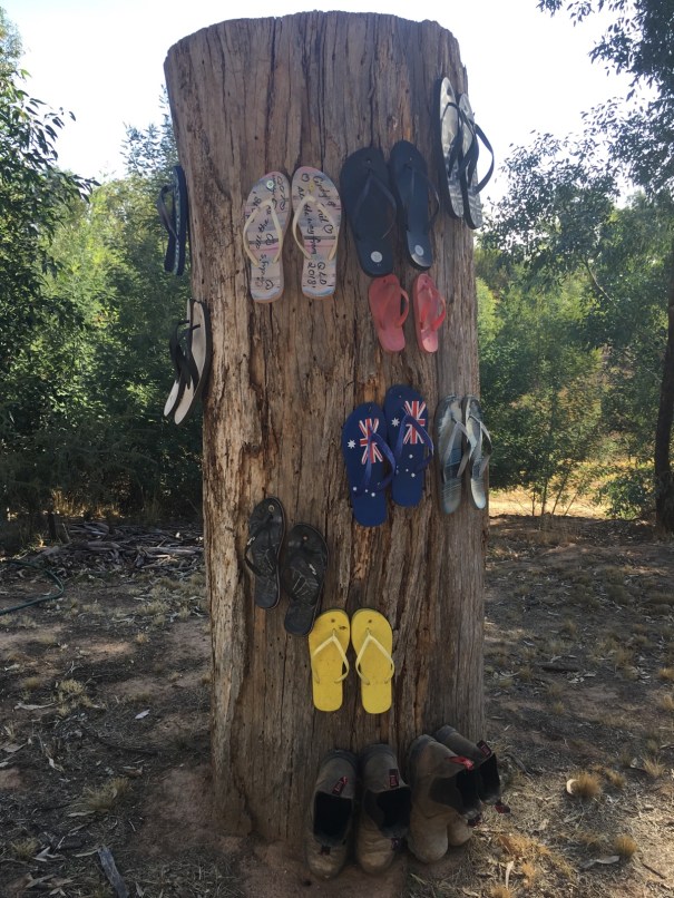 Shoe tree at Broken Creek Bush Camp 