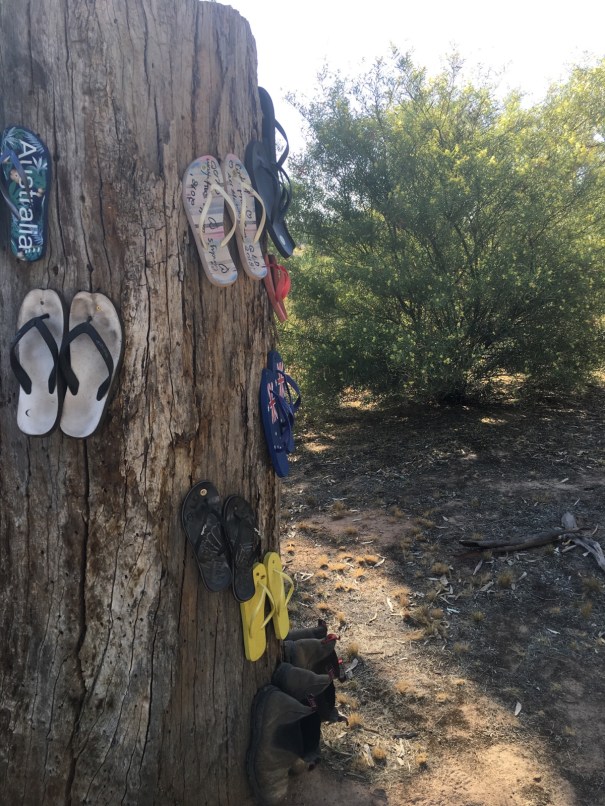 Shoe tree at Broken Creek Bush Camp 