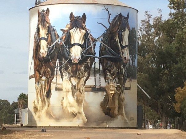 Goorambat painted silo, Victoria 