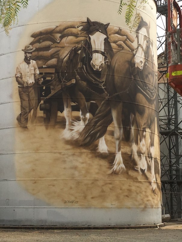 Silo Art at St James Victoria 