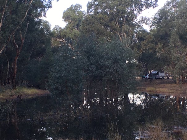Brewery Flat Reserve, Narrandera NSW