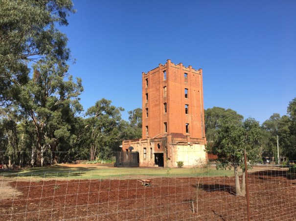 Brewery Flat Reserve, Narrandera NSW