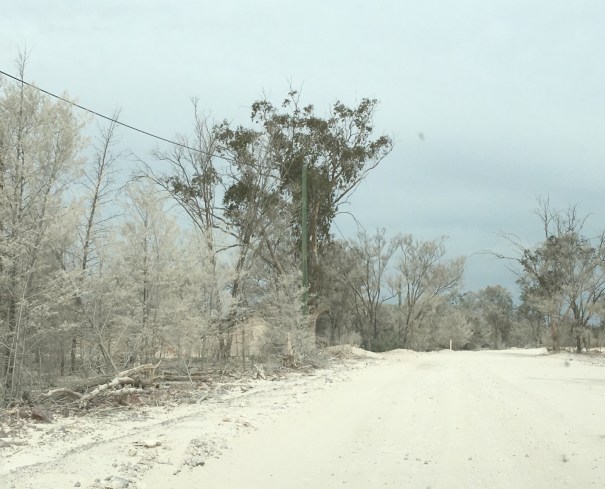 Dusty road at Grawin
