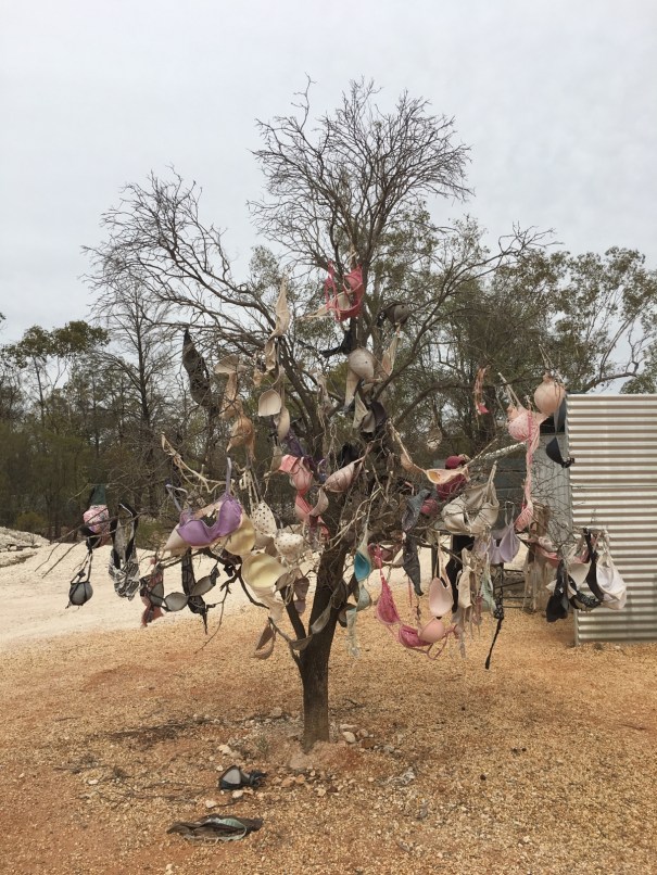 The bra tree at the Sheepyard Inn Grawin