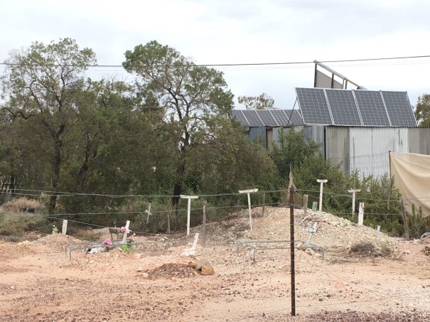 Pet cemetery in Lightning Ridge 