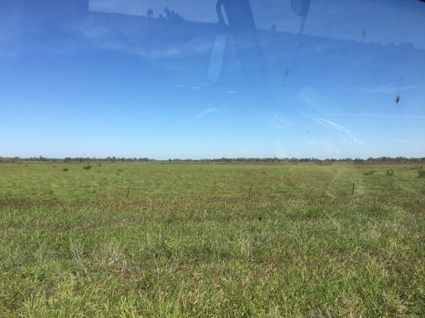 2019 Road from Augathella to Blackall 